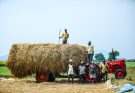 MSP Hike for Kharif Crops: A Smart Decision for Farmers